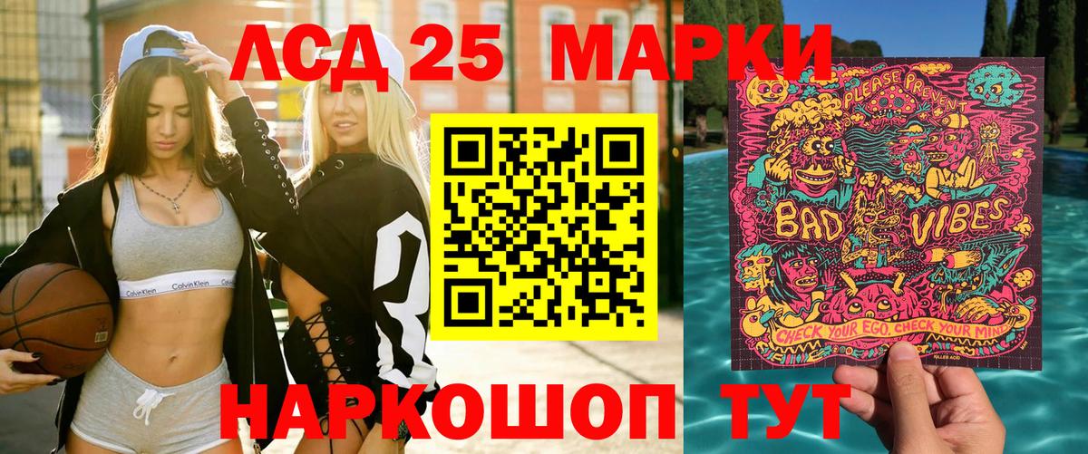 Галлюциногенные грибы Торжок
