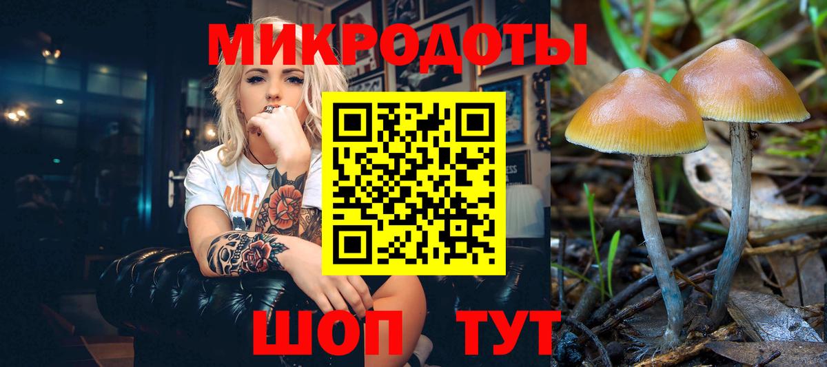 Галлюциногенные грибы ЛСД Торжок