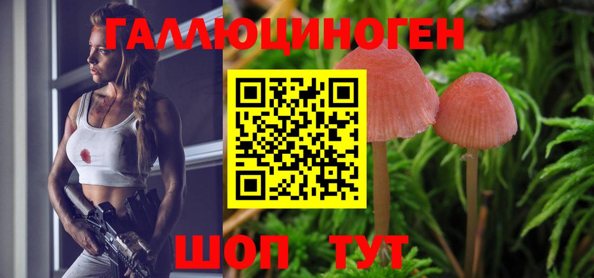 Торжок  Псилоцибиновые грибы мухоморы  Вход с VPN 